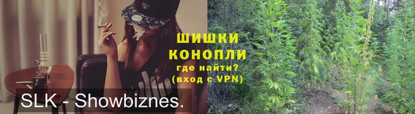 гидропоника Болотное