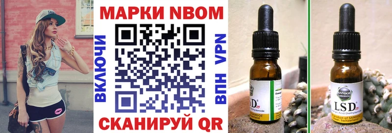 купить наркоту  Новозыбков  площадка официальный сайт  Марки NBOMe 1,8мг  MEGA маркетплейс 